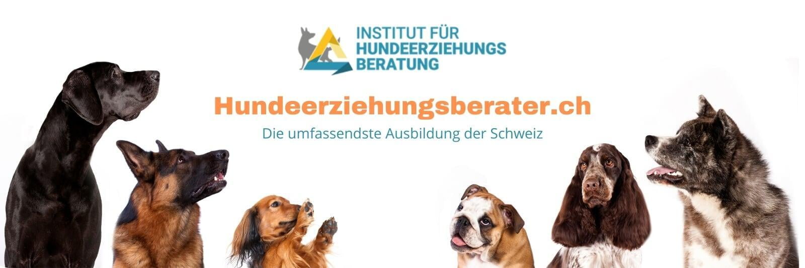 Hundererziehungsberatung Banner