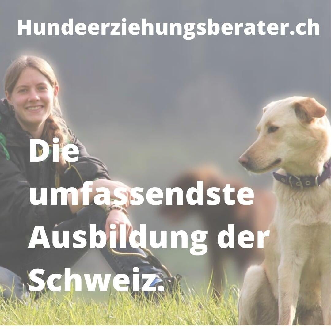Social Bild Hundeerziehungsberater.ch